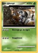 tigre @llongé