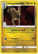 A doge(mine