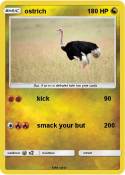 ostrich