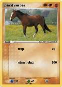paard van bas