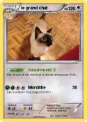 le grand chat