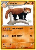 red panda