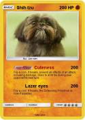 Shih tzu