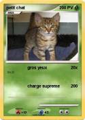 petit chat