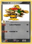 Bowser ex