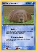 THE fat capybar
