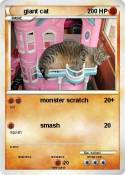 giant cat