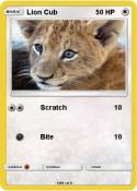 Lion Cub