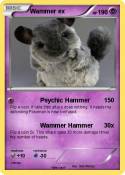 Wammer ex