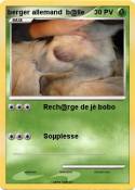 berger allemand