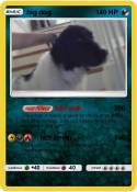 big dog