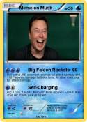 Memelon Musk