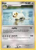 doge
