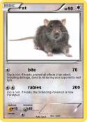 rat