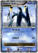 pingouin drole