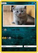 Kitten