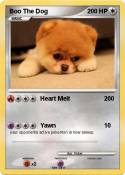 Boo The Dog