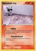 Charmander dog