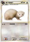 MY FERET