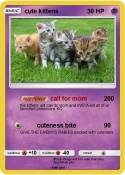 cute kittens