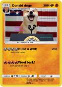 Donald doge