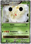 rose white