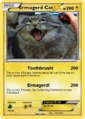 Ermagerd Cat