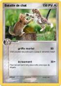 Bataille de