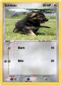 Schibuu