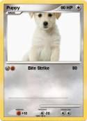 Puppy