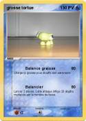 grosse tortue