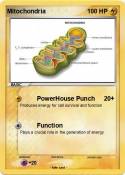 Mitochondria