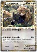 chat guerrier
