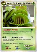 Venus Fly Trap