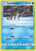 Snow leopard