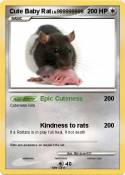 Cute Baby Rat