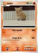 loulou