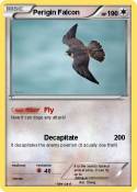 Perigin Falcon