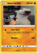 Walter the Dog