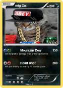 mlg Cat