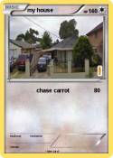 my house