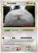 Fat Rabbit