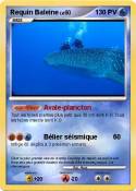 Requin Baleine