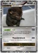 super cat