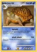 turtle boy GX
