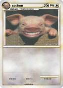 cochon