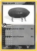 boule de poile