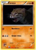Catstor