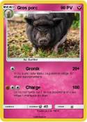Gros porc