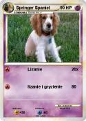 Springer Spanie